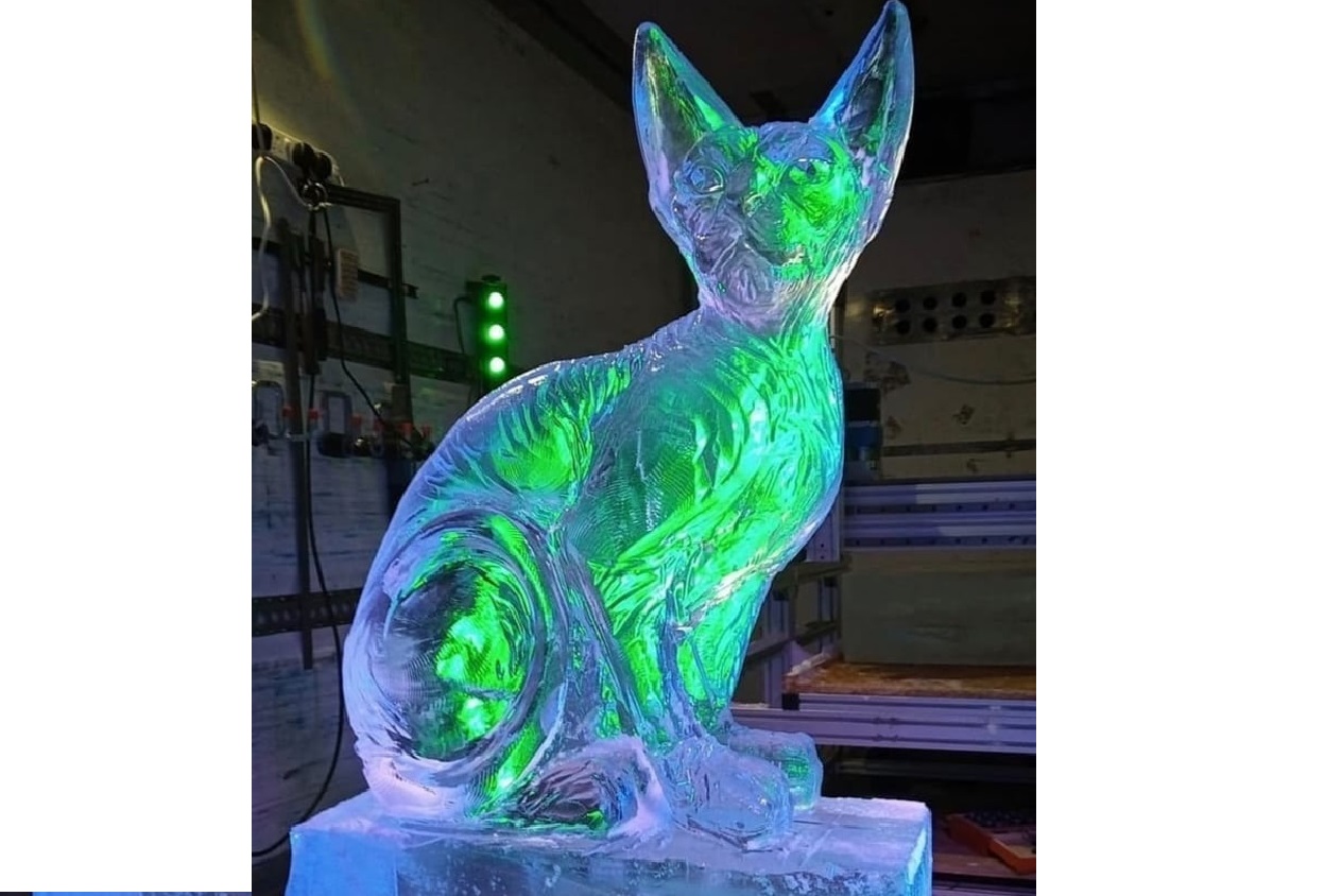 Animal (Cat Sphynx) Ice Luge 