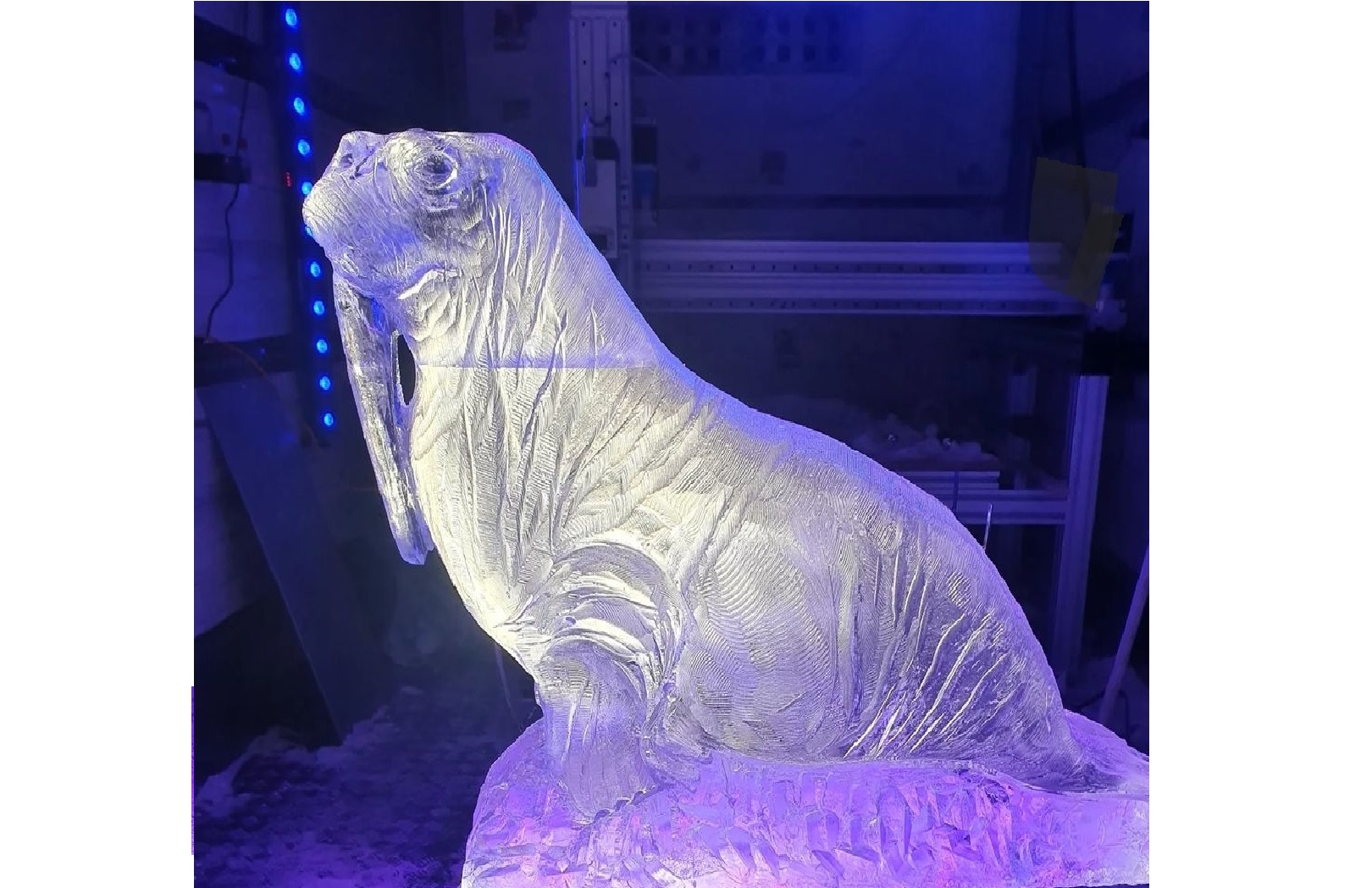 Animal (Walrus) Ice Sculpture 